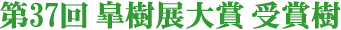 第37回 皐樹展大賞 受賞樹