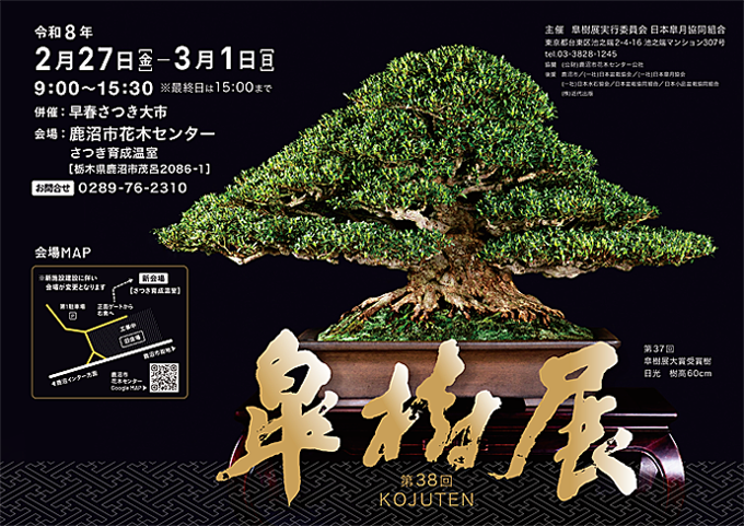 第38回 皐樹展 技と感性を競うプロの皐月盆栽作家の展覧会